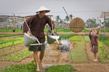 Làng rau Trà Quế (Hội An, Quảng Nam) chính thức được UN Tourism công nhận “Làng Du lịch tốt nhất” năm 2024