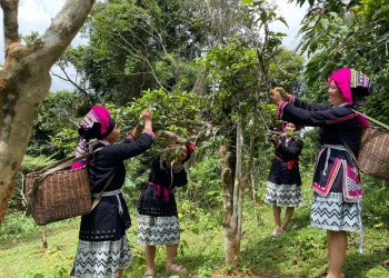 Phú Thọ: Nâng tầm du lịch cộng đồng